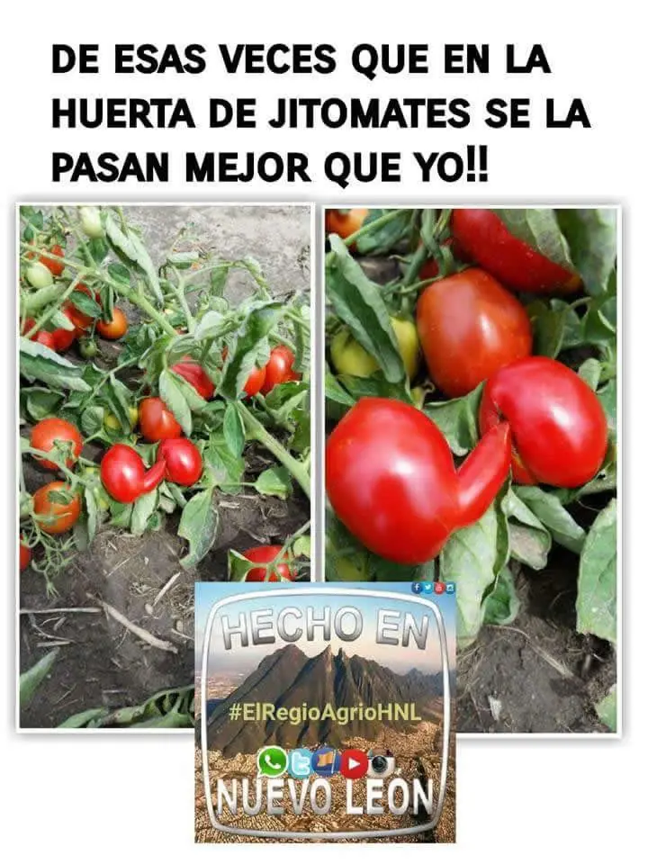 entra y reite
