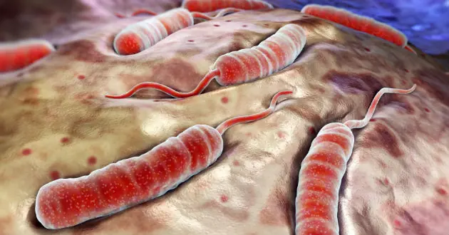 Enfermedades que están surgiendo por el calentamiento global
