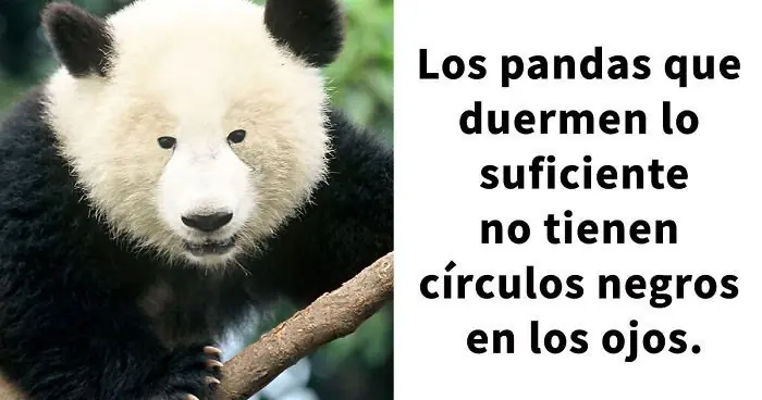 humor megapost