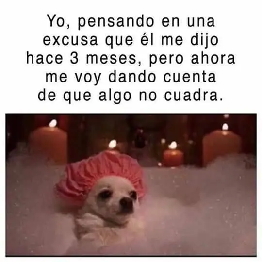 imagenes