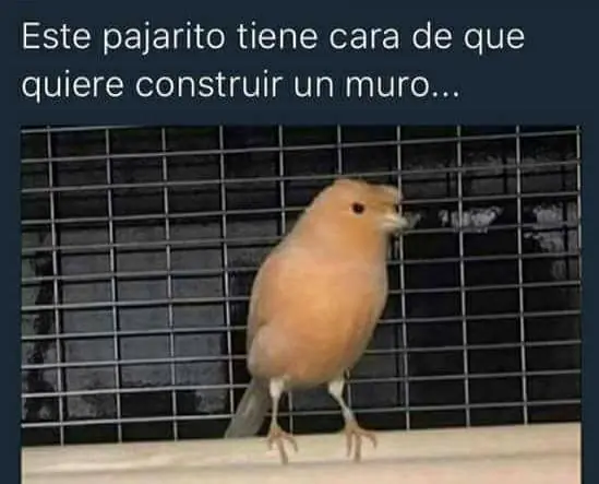 imagenes
