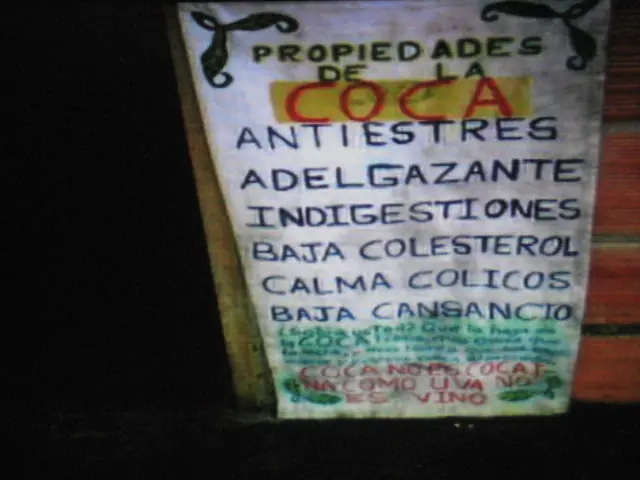 sanadores