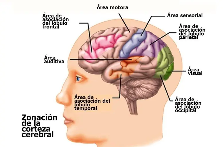 informacion