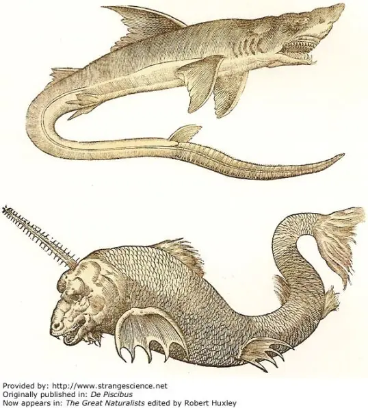 Antiguos dibujos de monstruos maritimos! cual te gusta papu?