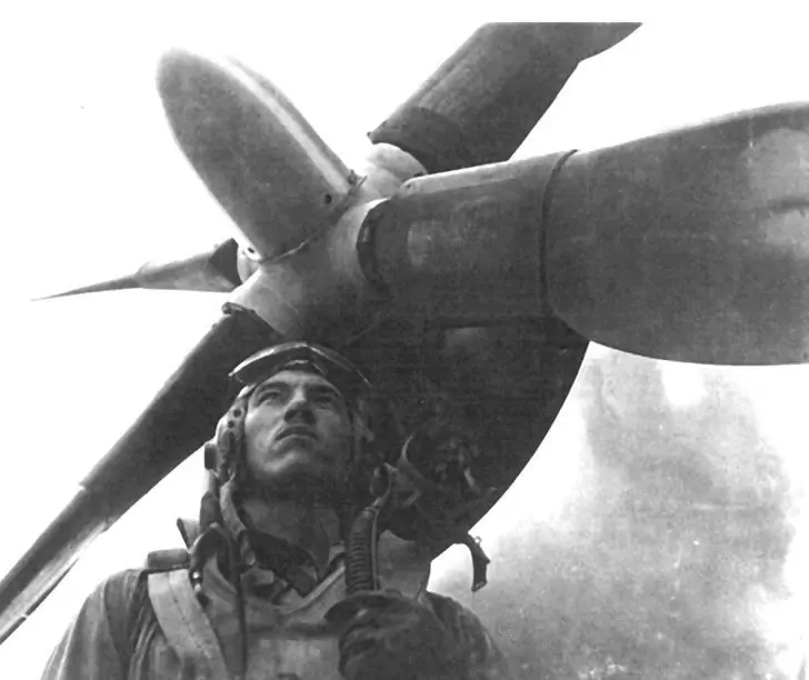 El Escuadrón Aéreo de Pelea 201(Mexico)