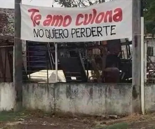 taringa