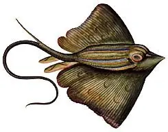 mar