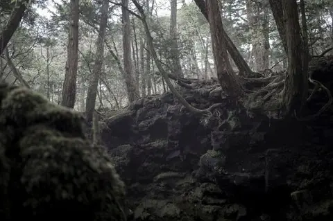 Japon