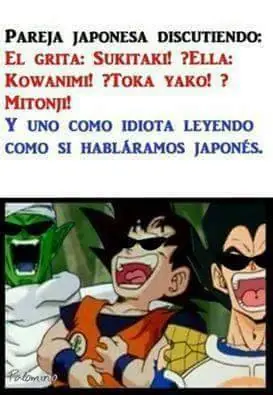 memes