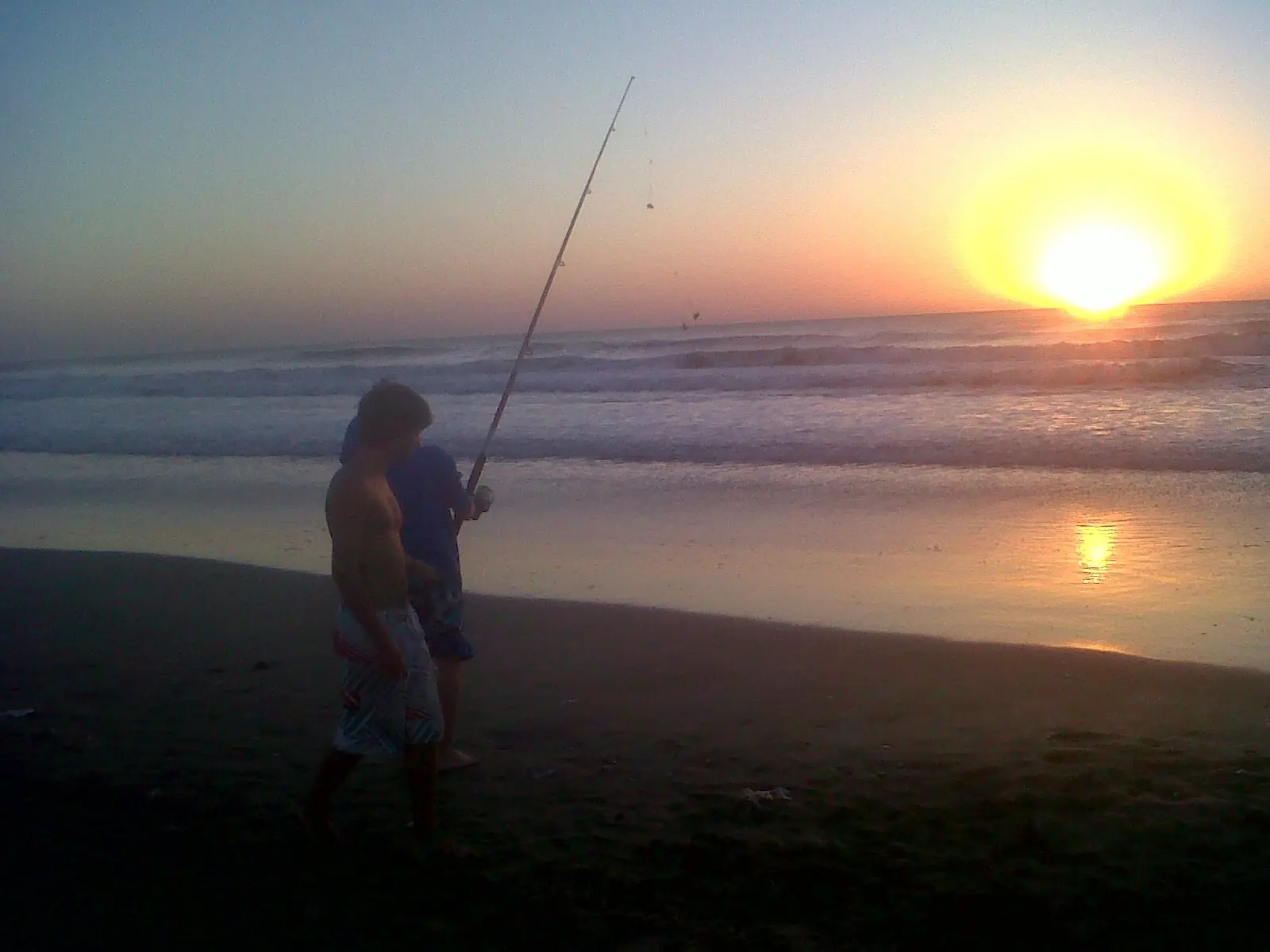 gesell