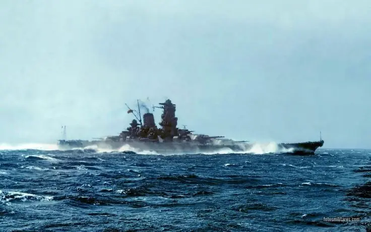 ijn