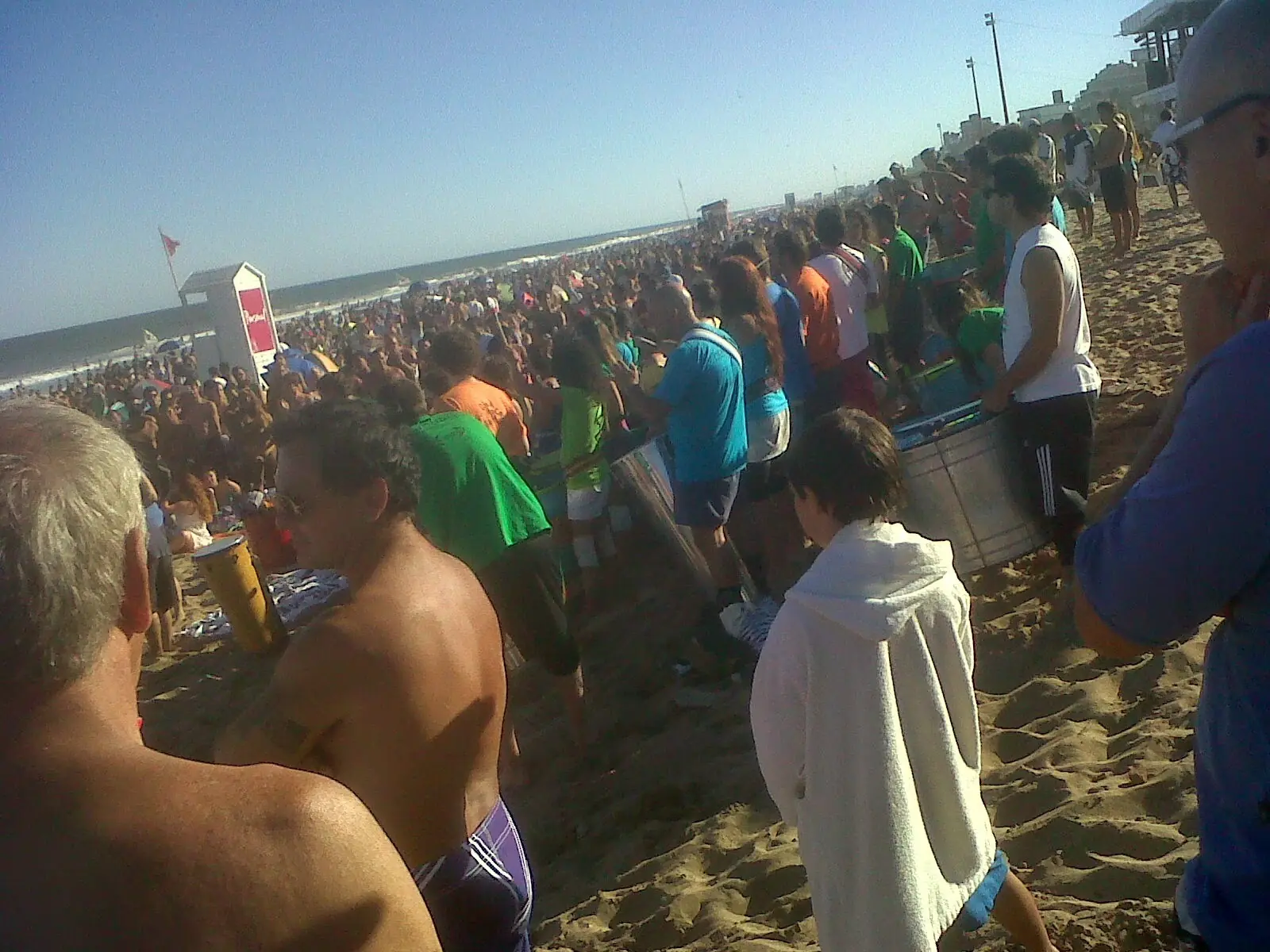 gesell
