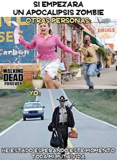 gusta