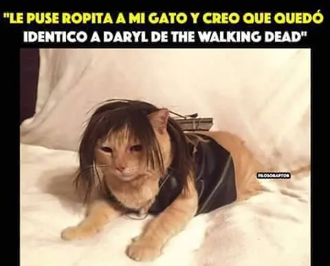 walking