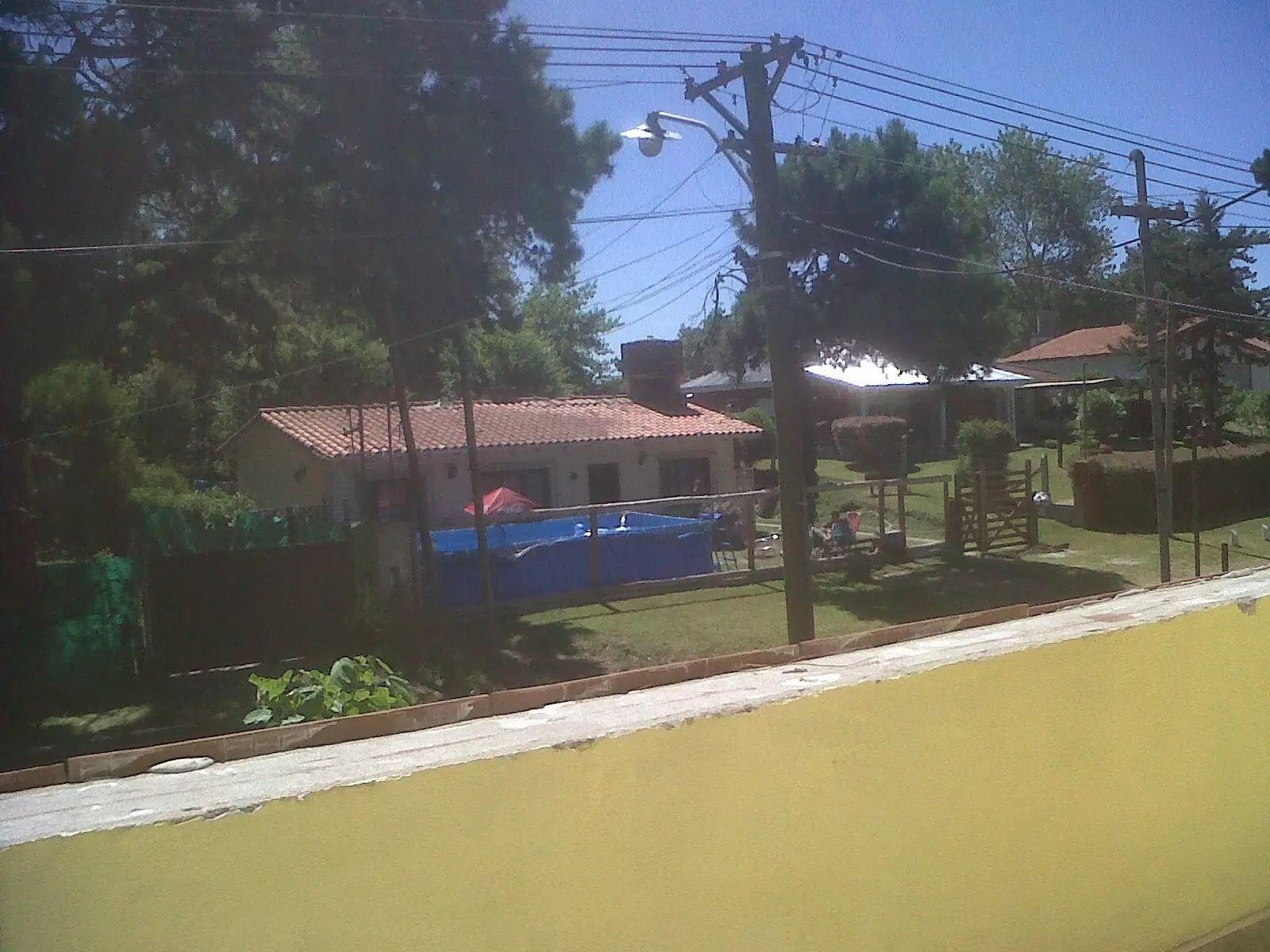 gesell