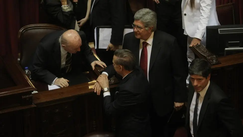 macri gato macri gato
