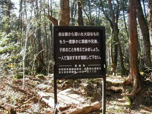 Bosque de los suicidas: el lugar perfecto para morir
