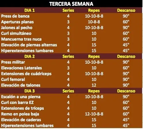 segundo