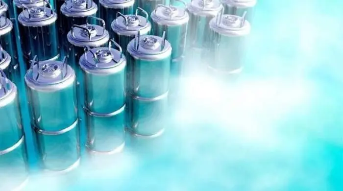 Con 14 años logró que la autoricen a congelar su cuerpo