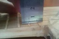 ukulele hecho en casa
