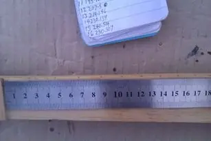 ukulele
