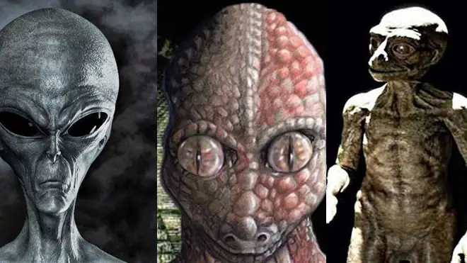 Las tres especies extraterrestres influyentes en la Tierra