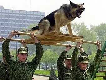 imagenes imagenes