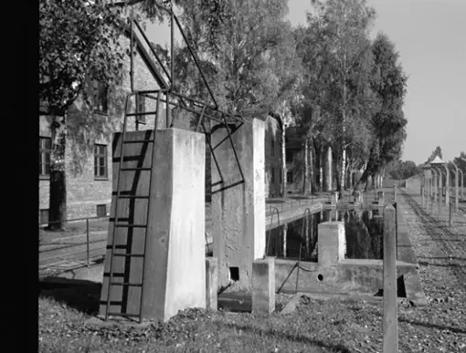 holocausto