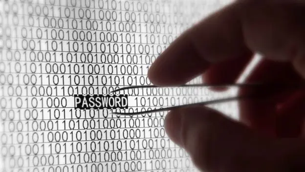 11 cosas que no debes hacer con el navegador tor