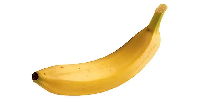 alimentos nutritivos
