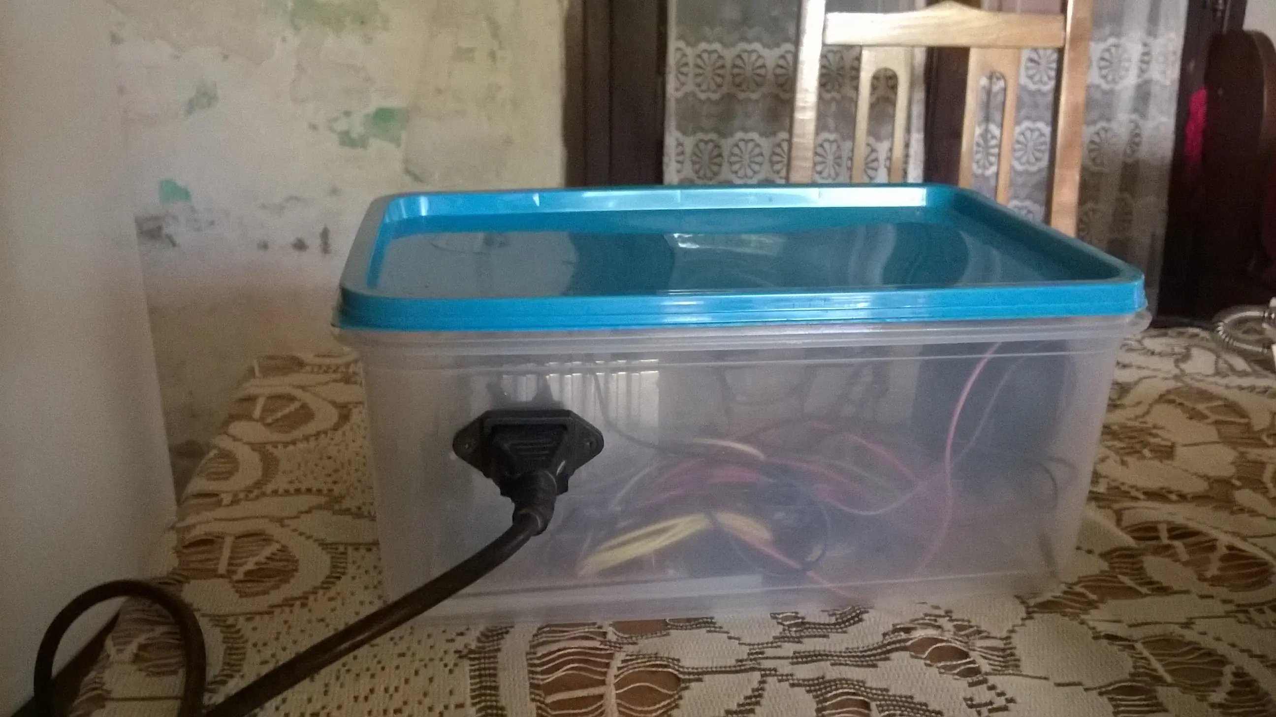 casera casera