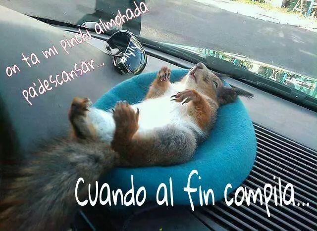 Top Memes informaticos que te haran reir!!!