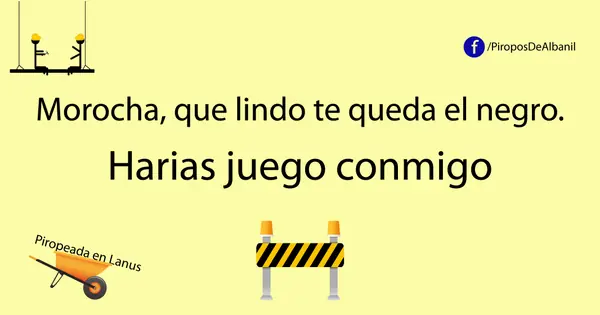 Lince