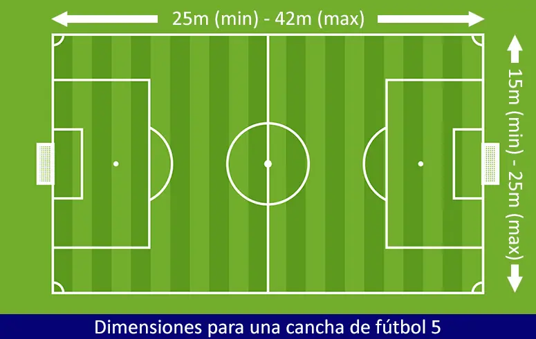 paddle cancha medidas