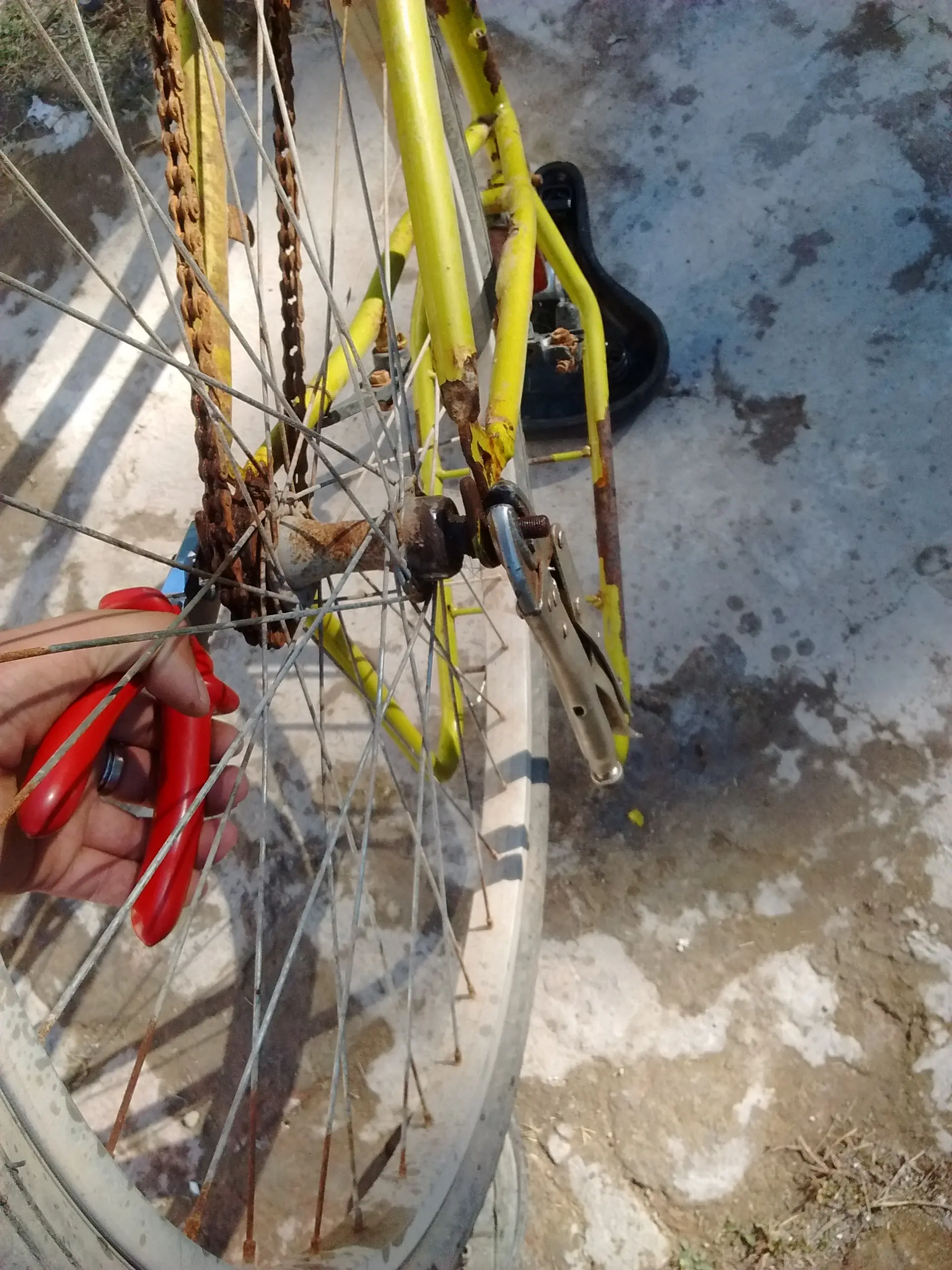 Empece a restaurar la bici de mi lincesa N°1