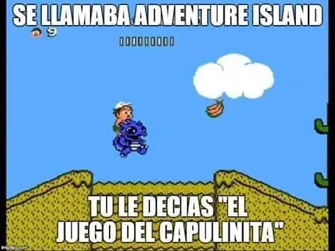 puerquito