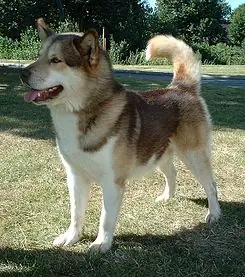 isla