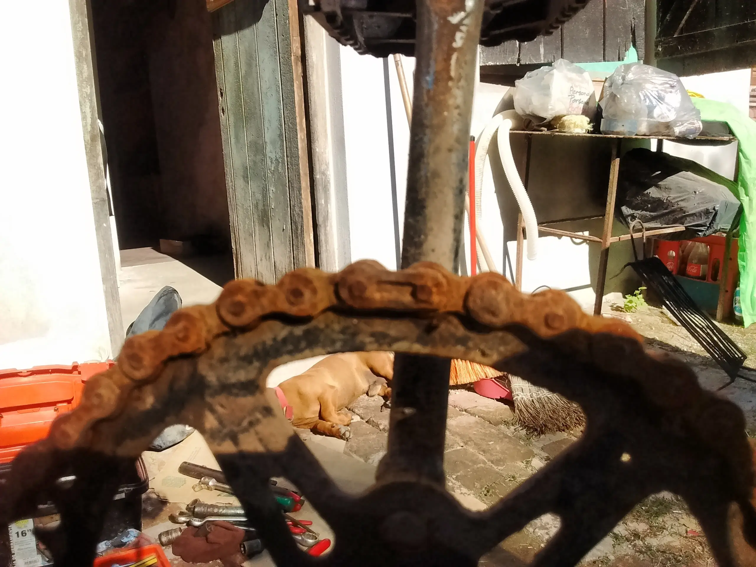 Empece a restaurar la bici de mi lincesa N°1