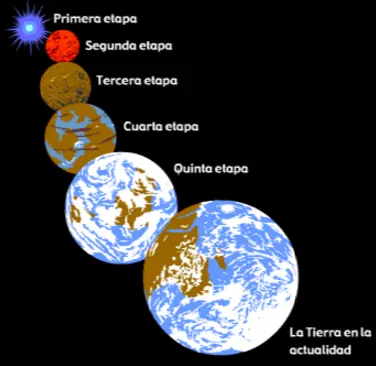 venus venus