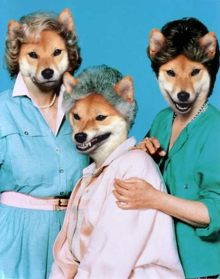 humor