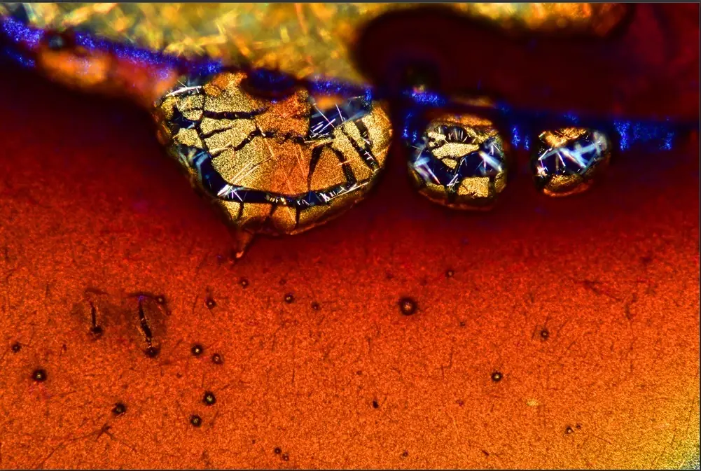 imagenes microscopicas