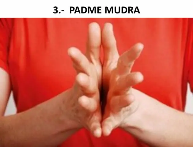 Los Mudras, productores de gozo (yoga)