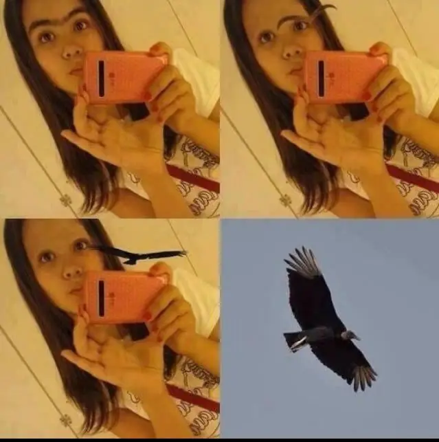 para reir