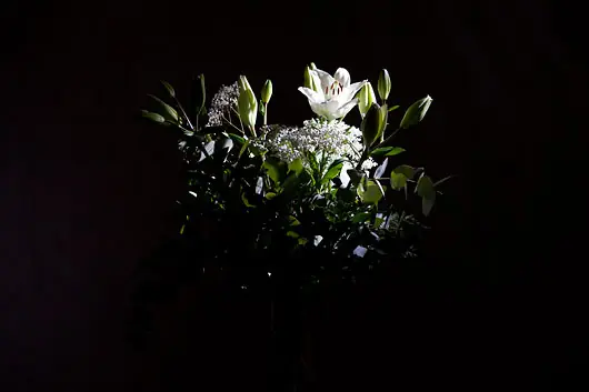 tutoriales de fotografia