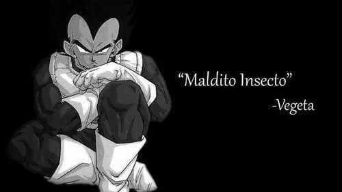 Como gusanos y te lo muestro.