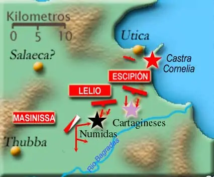 info