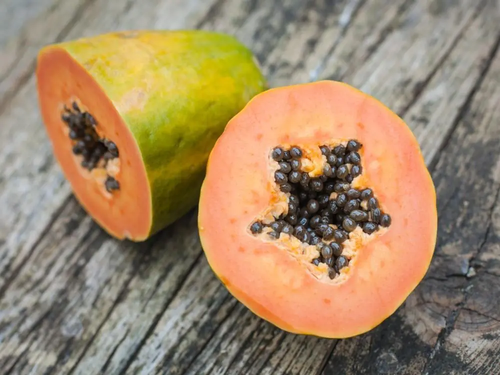 Papaya