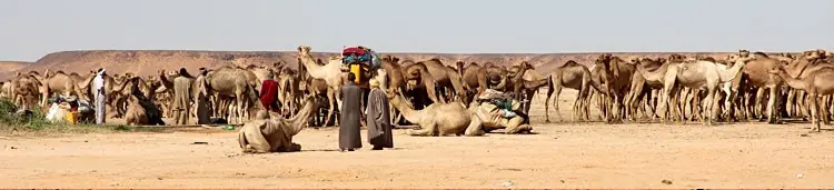 Noticias Desde el Interior de Libia