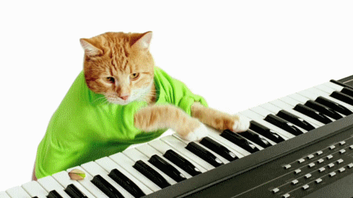 musica skype musica skype