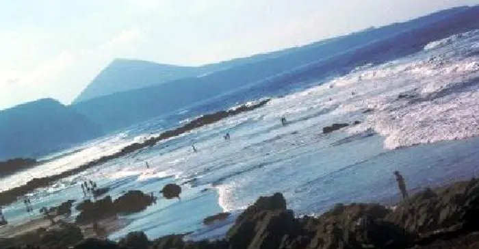carnadas